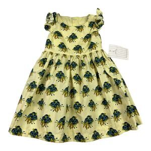 Girls Persnickety Floral Dress Size 2t
